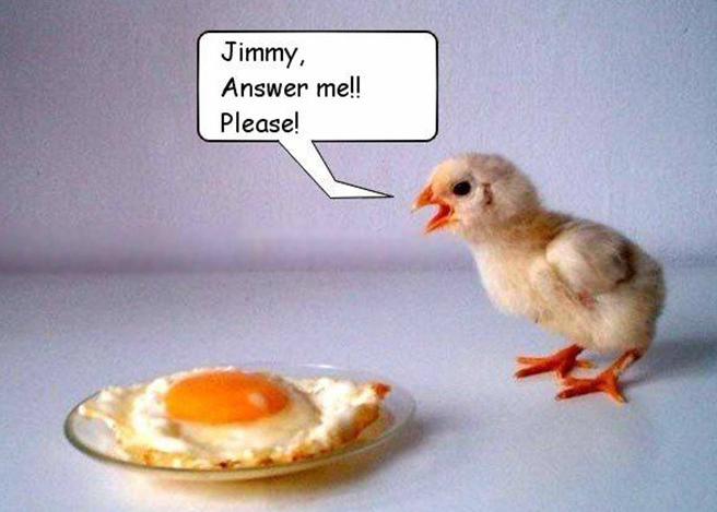 Funny Picture (49)